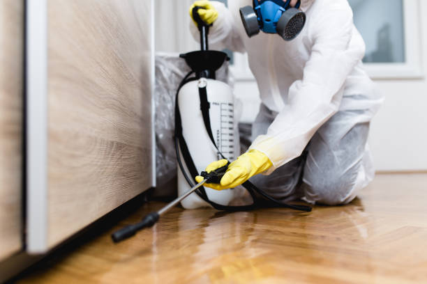 Best Best Pest Control Companies  in East Rochester, NY