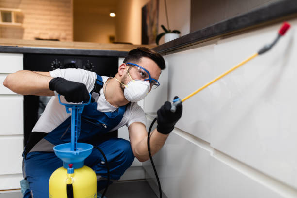 Best Insect Control  in East Rochester, NY