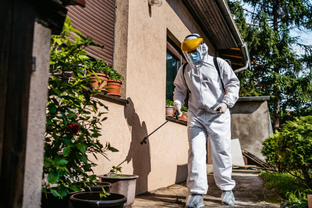 Reliable East Rochester, NY Pest Control Solutions