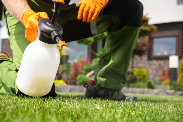 Best Exterminator Services  in East Rochester, NY