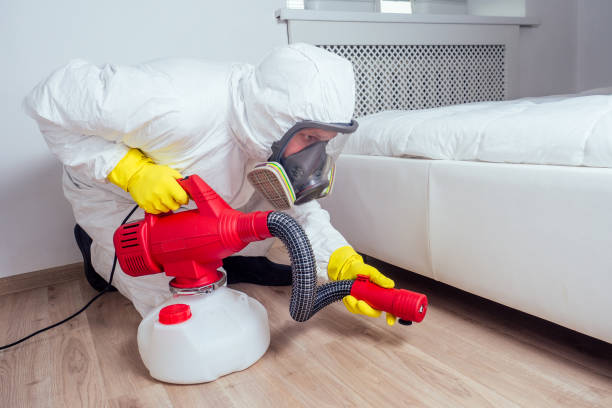 Reliable East Rochester, NY Pest Control Solutions