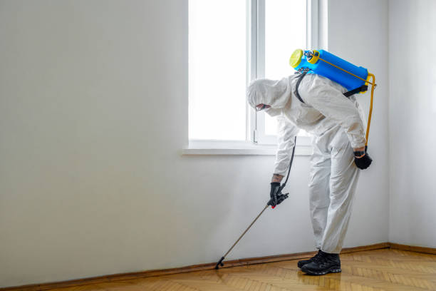 Best Pest Removal Services  in East Rochester, NY