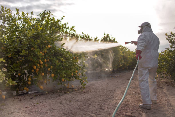 Best Pest Removal Services  in East Rochester, NY