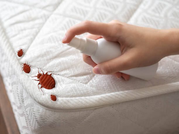 Best Commercial Pest Control Services  in East Rochester, NY